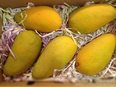 銅川攀西農產品有哪些服務為先