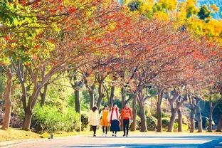 新年喜訊 攀枝花陽光康養(yǎng)產(chǎn)業(yè)獲評 2016四川十大改革轉(zhuǎn)型發(fā)展案例