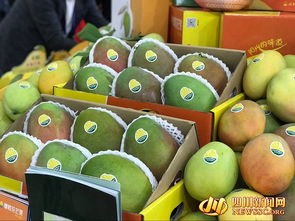 四川農(nóng)產(chǎn)品 c位 出道 攀枝花芒果郫縣豆瓣等抱團(tuán)亮相第十六屆國際農(nóng)交會