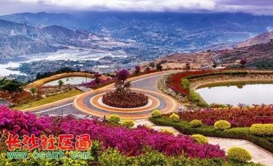 四川發布今年第一期觀花指數 德陽這個地方觀花指數已到達最佳時期!