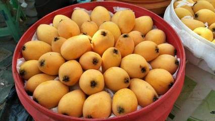 寧波居食坊商戶│來(lái)四川攀枝花市,吃過(guò)5道算我輸!